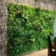 Ruili mô phỏng cây cỏ cây xanh tường nhựa giả hoa cỏ trang trí tường màu xanh lá cây trên tường hình nền tường - Hoa nhân tạo / Cây / Trái cây