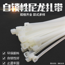 Self-locking nylon cable tie 5*200mm 500 packs of fixed plastic cable tie buckle