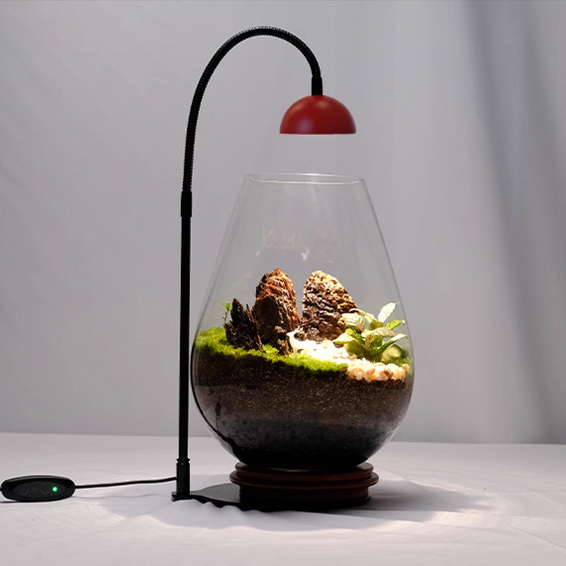 Little Red Riding Hood Timed Plant Light Ecological Bottle Landscaping Micro-Landscape Light Moss Fish Tank Potted Plant Full Spectrum Fill Light
