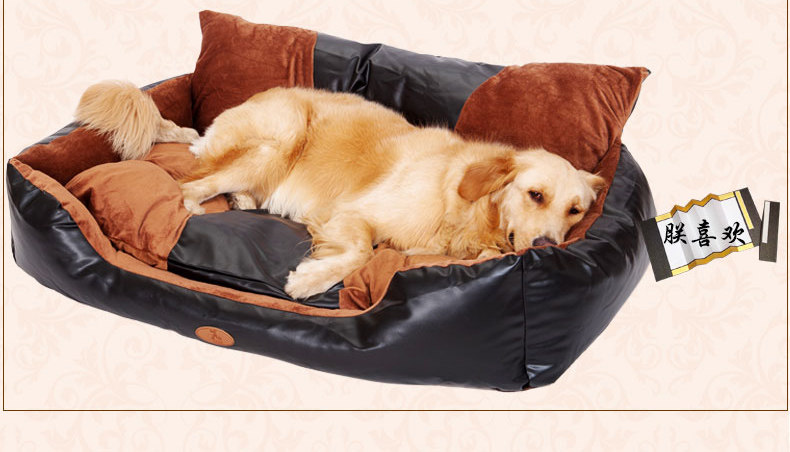 Как выбрать лежак для собаки самостоятельно