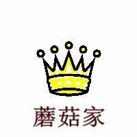 蘑菇家日单折扣