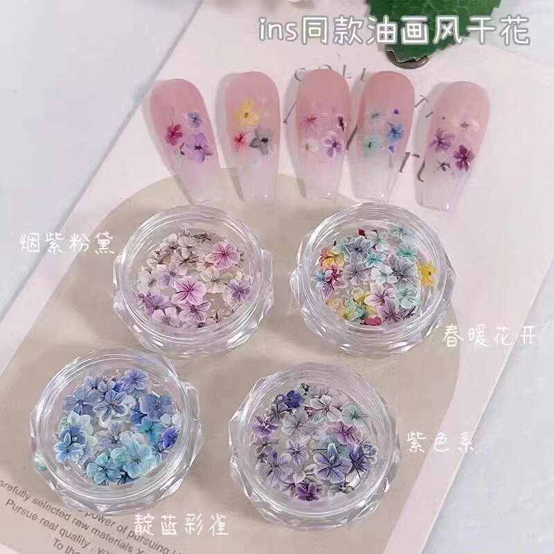 Japanese-Style Fresh Nail Art Dried Flowers New Oil Painting Style Small Flowers Mixed Color DIY Materials Nail Decoration