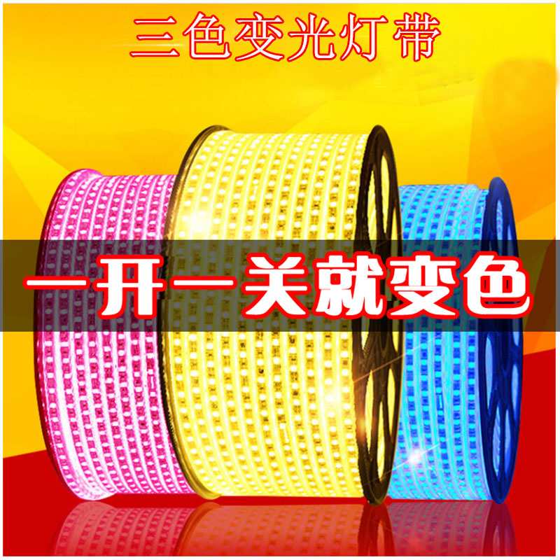 Light with LED Three color light Lighting Room Ceiling Heating Household Wall Control Intelligent Dimming High Monochromatic Lights 220V