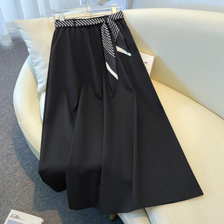 超好看半身裙女春季2026新款今年流行爆款a字黑色中长高级感伞裙