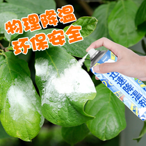 Cooling spray summer electric car cushion helmet rapid cooling agent cooling artifact fast dry ice refrigerant