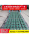 Eight-character brick lawn brick eight-character brick well-shaped brick parking space bread brick permeable brick Spanish Dutch brick grass planting brick