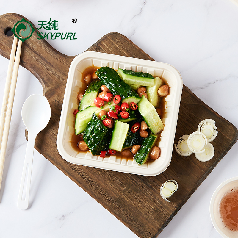 Day Pure Disposable Plate Paper Pan Environmentally Friendly Snacks Disc Dish Small Plate Square Dish Birthday Cake Pan 10 Only Dress