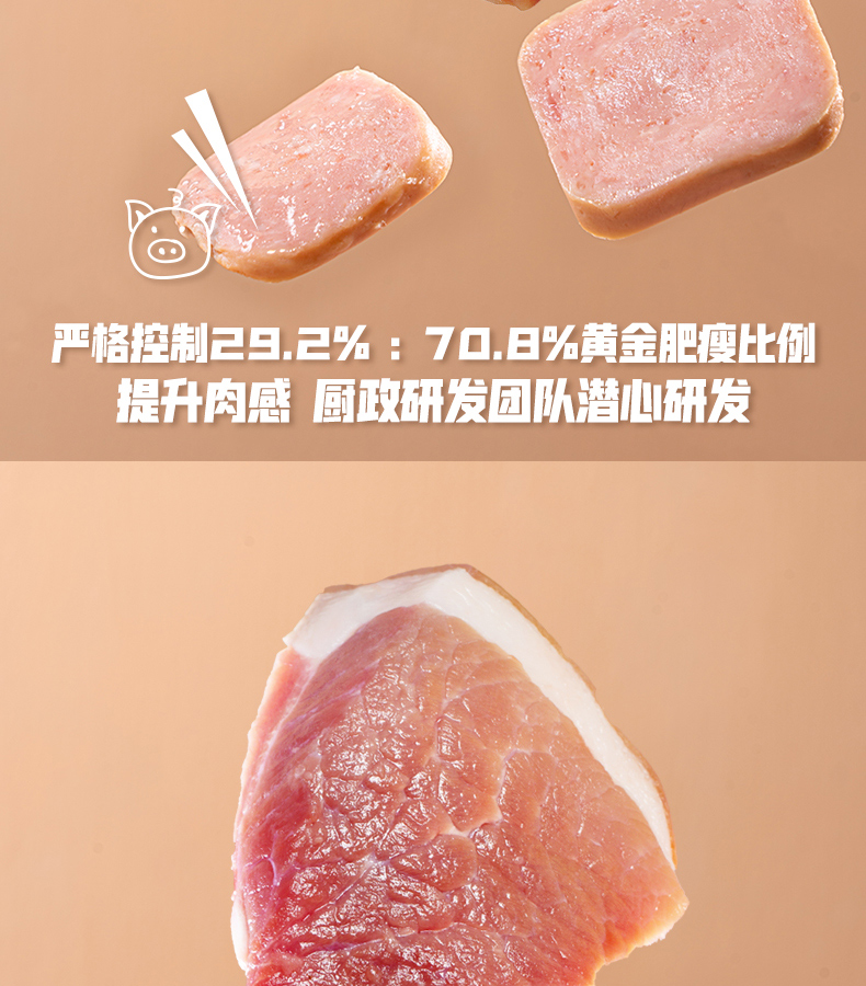 眉州东坡/王家渡片装午餐肉280g