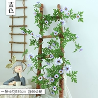 Коричневый 31 Daisy Vine Blue