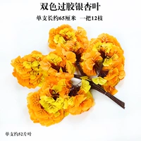 Два -колорное перекрытие листьев гинкго