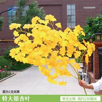 Большой лист гинкго