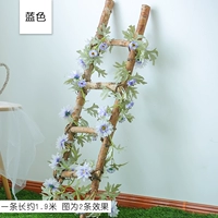 Ярко -желтая 13 -голодная виноградная лоза Blue