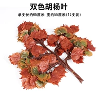 Два -Королевая Хорбия