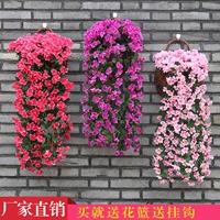 Mô phỏng Violet Hoa giả Hoa treo tường Treo giỏ Hoa treo Hoa nhựa Ban công Ban công Trang trí Hoa Vine Cây xanh - Hoa nhân tạo / Cây / Trái cây chậu cây giả