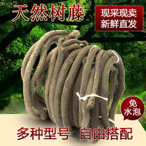 Tree rattan dead rattan Wedding decoration Red mountain Rattan pipe simulation rattan Vine leaf vine Old rattan branch dry fake plant