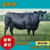 瑶妹(直播专拍链接  安格斯黑牛)牛肉3.39