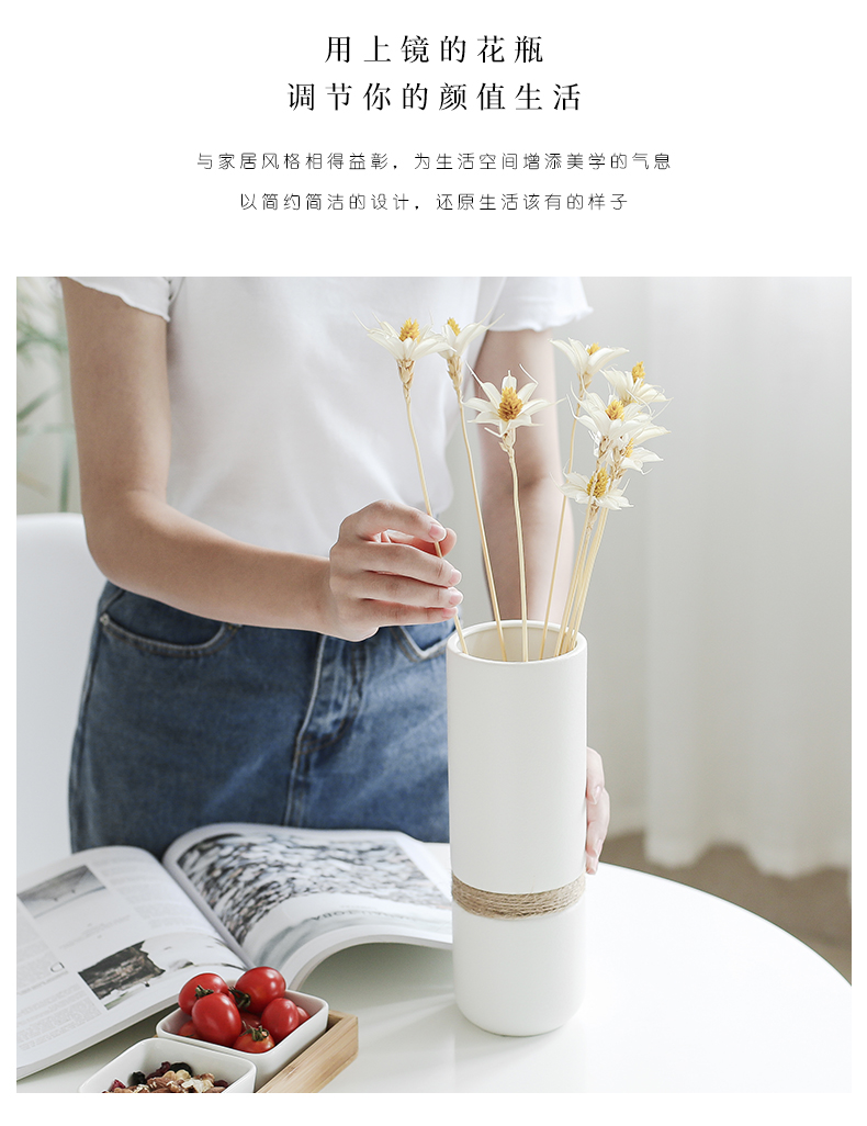 Nan sheng I and contracted Europe type hemp rope ceramic vase simulation flower, dried flower flower flower arranging household act the role ofing is tasted furnishing articles