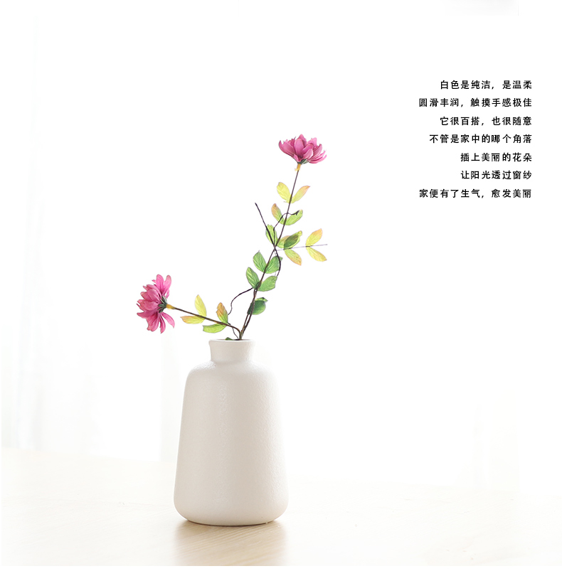 South simulation flowers, dried flowers sheng I and contracted household act the role ofing is tasted ceramic vase hydroponic ins wind flowers, flower arranging furnishing articles