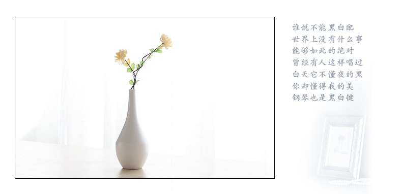 Nan sheng I and contracted simulation artificial flowers ins household act the role ofing is tasted ceramic vase hydroponic flower arranging flowers, mesa furnishing articles