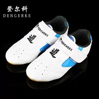 Taekwondo Blue Border Book