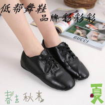 Gold silver low-top jazz dance shoes Womens mens practice shoes soft-soled dance shoes indoor and outdoor fitness casual shoes