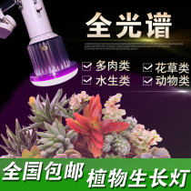 Fleshy led aquarium vegetable strawberry water fill light plant fill light Full Spectrum Plant Growth Light