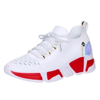 Стандартный код модели белой лостости