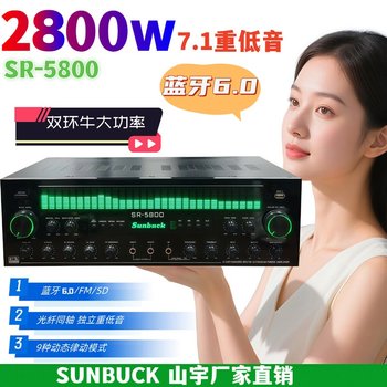 Shanyu Sr5800 High-Power 7.1-Channel Amplifier Bluetooth Professional Ktv Stage Home Audio Amplifier
