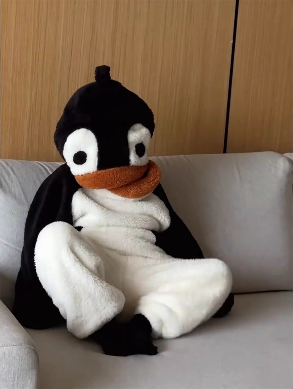 /