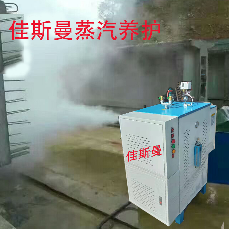 Industrial Bridge Cement Maintenance Automatic Electric Heating Steam Generator Curtain Dry Cleaning Clothing Ironing Brewing Rice Cake