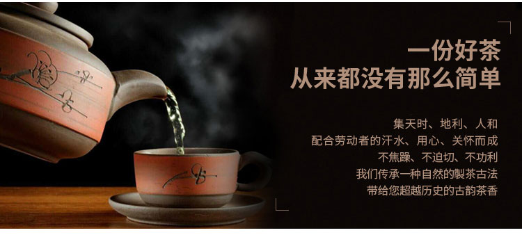 春茶安溪铁观音王浓香型新茶散装500g