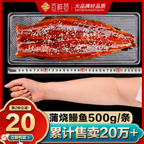 Japanese-style barbecued eel fish grilled white Seel whole 500g fresh heated ready-to-eat eel rice river eel