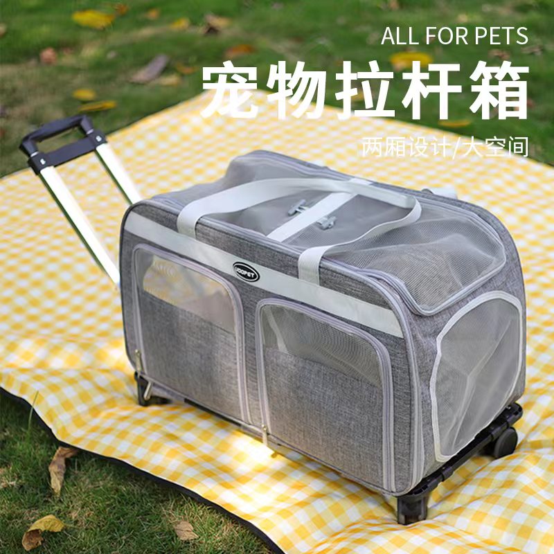 Cat-packed rod box with large capacity of two boxes carrying out portable pet cat breathable large summer bag