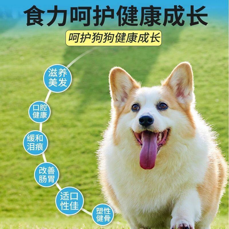 福派汪汪宠物用品小店