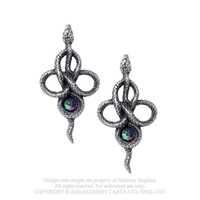Alchemy Gothic British A brand official authentic Gothic snake ear acupuncture TERCIA SERPENT (E441