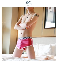 Роза красный 13