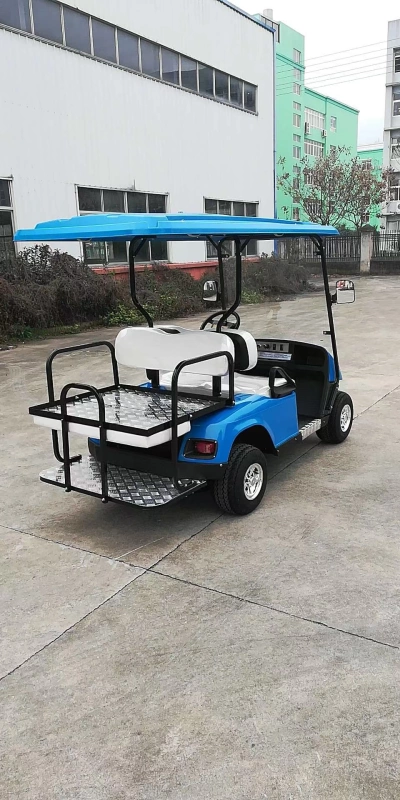 Xe bốn bánh điện tham quan để xem xe cho thuê xe golf ngắm cảnh tại chỗ với thùng dầu chở hàng và điện sử dụng kép - Xe đạp điện