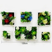 3D creative wall decorations pendant pastoral home wall Wall simulation three-dimensional plant wall decoration