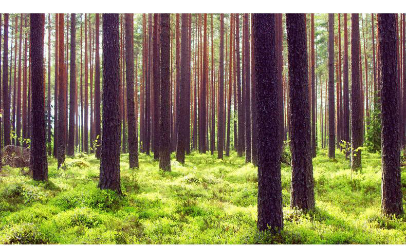 Кирпичный блок_02.jpg