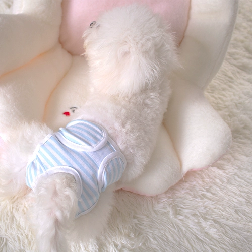 Физиологичные безопасные штаны, безопасное нижнее белье