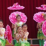 Пион цветок зонтик танцевальной сцены