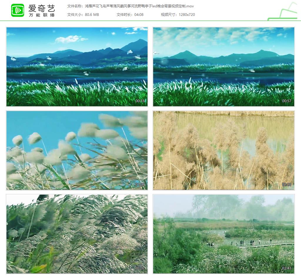 Hongyanlu Flower Flying Bird Reeds Reeds of Reed Wind Crane Kite River Wild Duck Pavilions Led Gala Background Video Tailor-Taobao