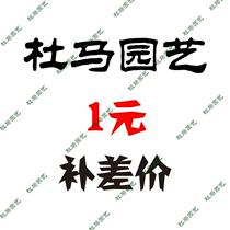 Duma horticulture agricultural medicine pump Piston pump electric sprayer one-dimensional difference connection