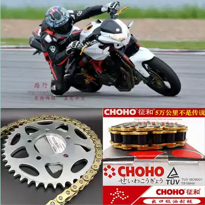 Applicable to Beilini 300 Huanglong BJ600 250 Cubs 500 Jinpeng 502 Sprocket Large Tooth Plate Oil Seal Chain