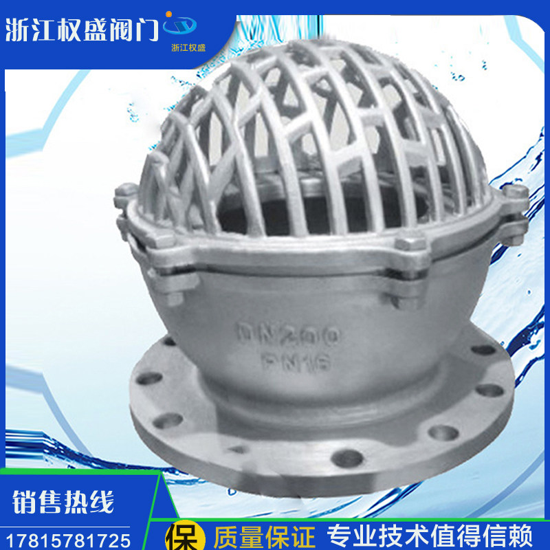 304 stainless steel flange bottom valve H12W lifting check valve suction pump bottom valve corrosion resistant shower head