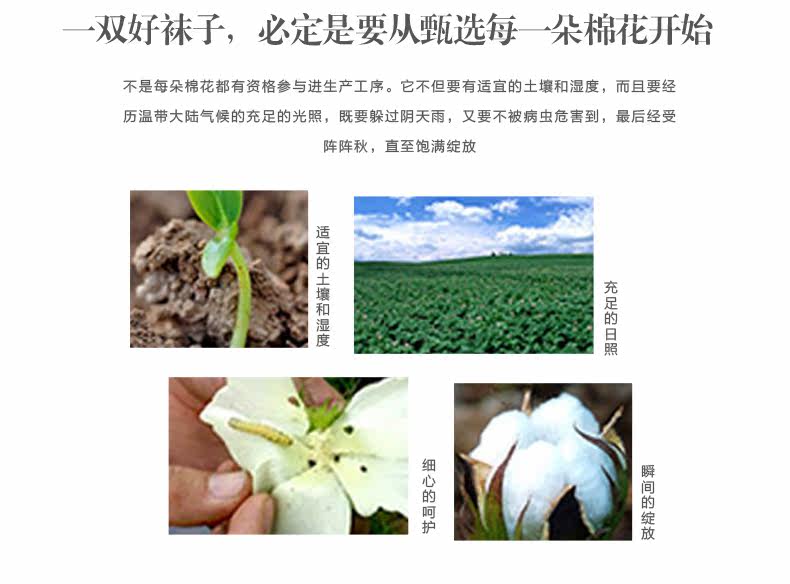 Chaussettes - collants LB1615 - Ref 763779 Image 26