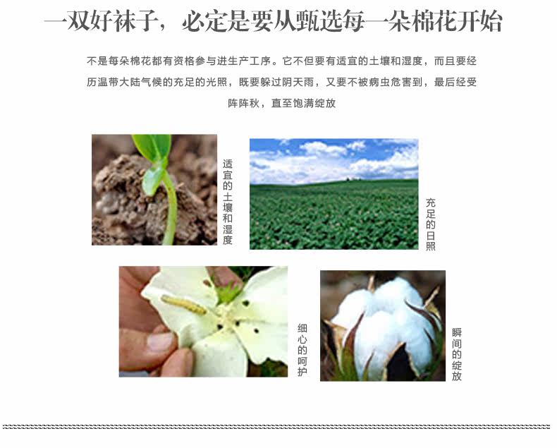 Chaussettes - collants LB1620 - Ref 763762 Image 26