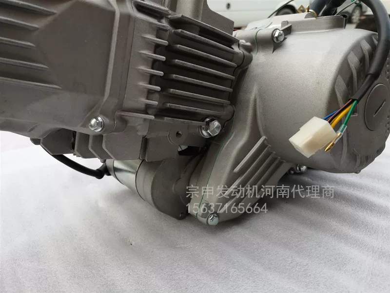 Zongshen W190 Hile -Холодный холодный электростартовый пятискоростной Garway кросс-кантри мотоцикл пляжная машина картинг двигатель