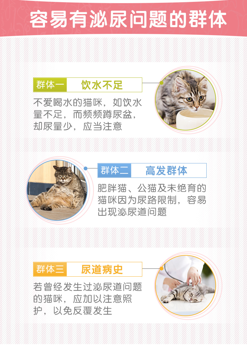 Meds IN-KAT Cat Cranberry tiết niệu 15g - Cat / Dog Health bổ sung Sữa cho chó con giá rẻ