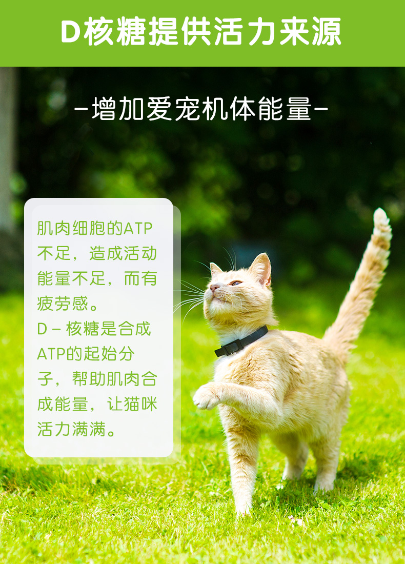 Meds Cat Vitamin Vitamin Cream giàu vitamin khoáng chất Taurine Pet Dinh dưỡng - Cat / Dog Health bổ sung sữa cho mèo con